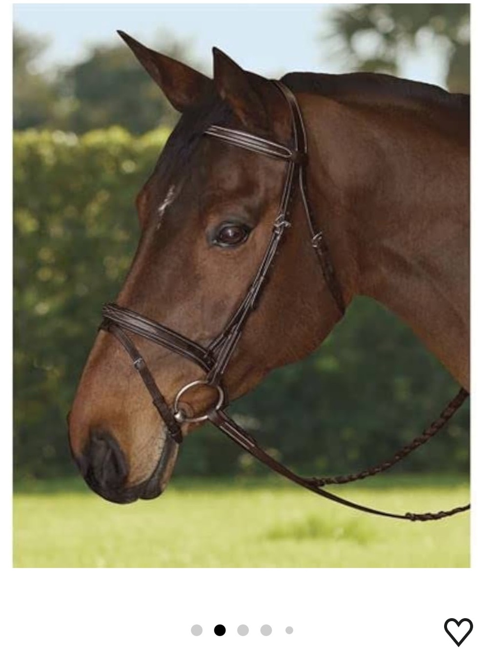 Dover Saddlery TRU-Fit Build-A-Bridle Flash Noseband, Color: Chocolate Pony